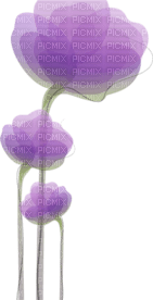 fleur violette.Cheyenne63 - безплатен png