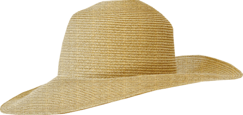 dolceluna summer spring hat fashion deco - ücretsiz png