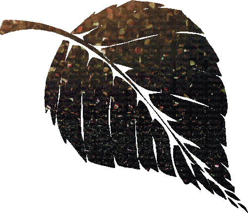 fall autumn leaf leaves feuille - Gratis geanimeerde GIF