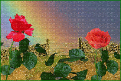 rose - Ilmainen animoitu GIF
