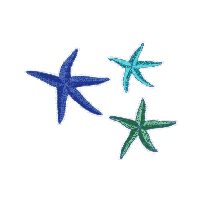 Starfish.Summer.Mer.Blue.Victoriabea, été , sea , mar , ocean , étoile , de , mer , turquoise , green , underwater , plage , beach , gif - PicMix
