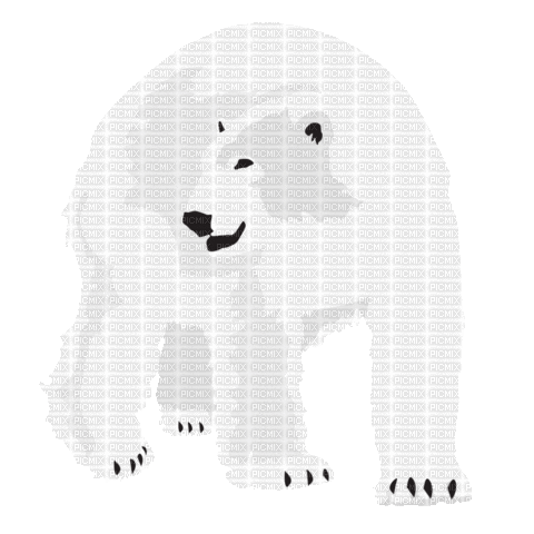 bear - Ingyenes animált GIF