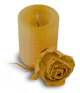 gala candle - png gratuito