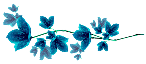 Flowers.Blue - kostenlos png