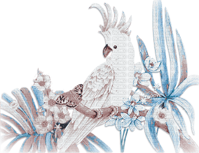 soave deco summer tropical bird parrot branch - δωρεάν png