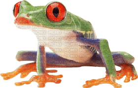 Kaz_Creations Frog Toad - darmowe png