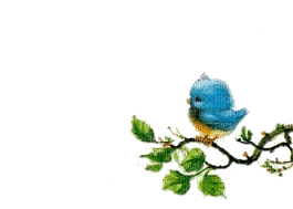 petits  oiseaux - 無料のアニメーション GIF