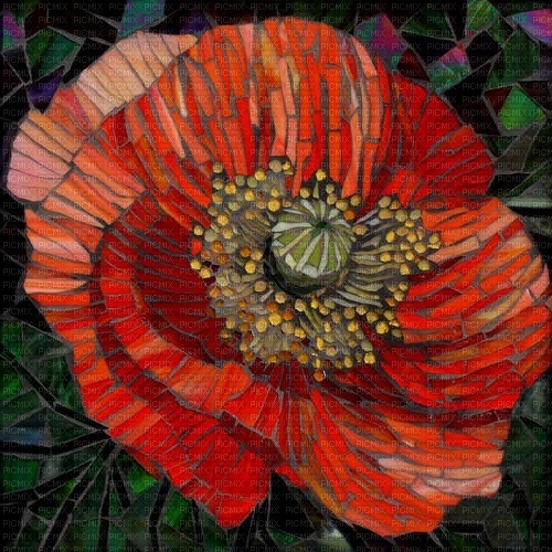 Poppy Mosaic jpg - nemokama png