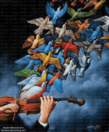 Pájaros - Бесплатный анимированный гифка
