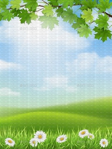nature background - zdarma png