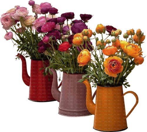 flores - png gratis