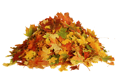 Pile of Leaves - nemokama png