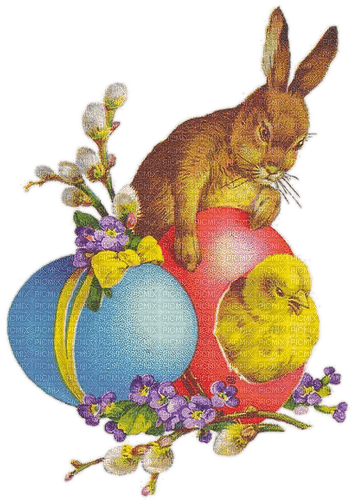 Ostern, Easter, Hase, Eier, Küken - kostenlos png