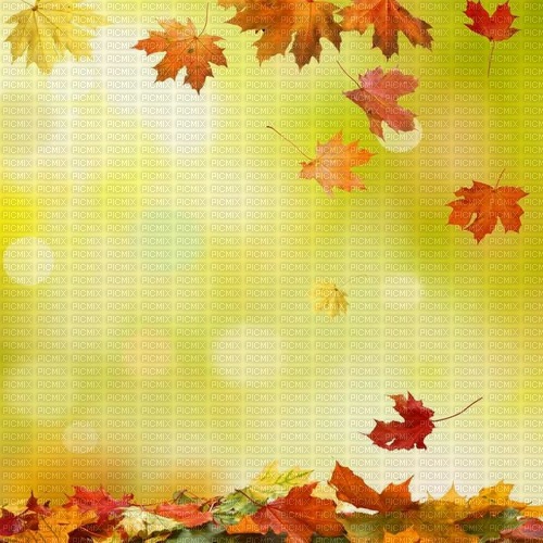 autumn - бесплатно png