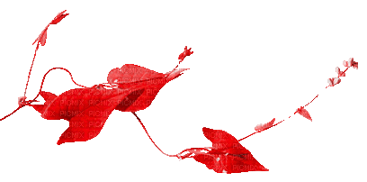 soave deco animated autumn branch liaves red - GIF animado gratis