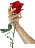 Rózsa - Zdarma animovaný GIF