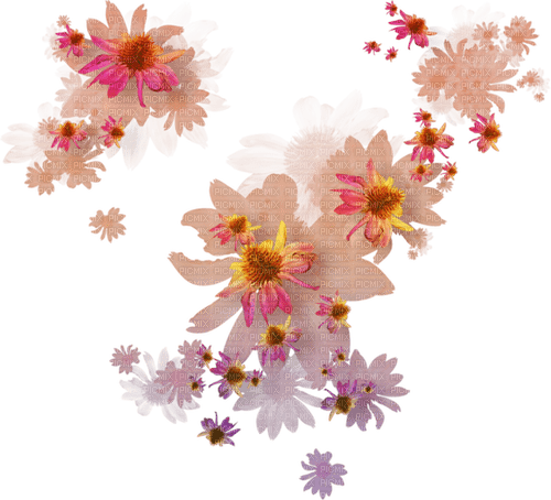 dolceluna deco flowers flower spring - PNG gratuit