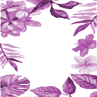 Y.A.M._Summer flowers frame - Ücretsiz animasyonlu GIF