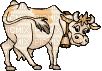 Корова - Zdarma animovaný GIF