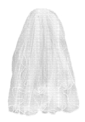 Voile.Veil.Velo.Victoriabea - 無料png