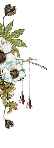 Flower Decoration - Δωρεάν κινούμενο GIF