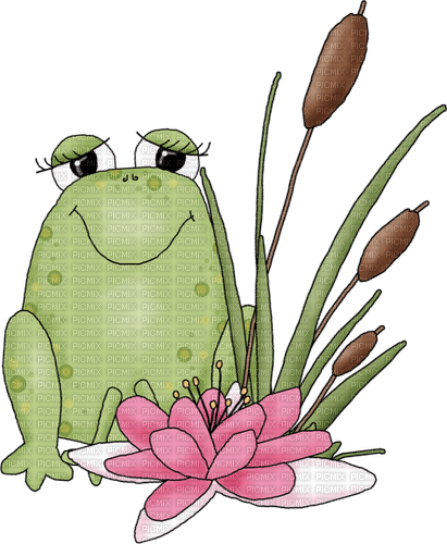 Frosch, Blume - zdarma png