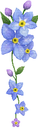 Цветя - Безплатен анимиран GIF