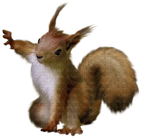 Kaz_Creations Squirrel - бесплатно png