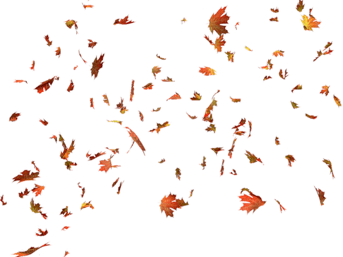 Feuille - Free PNG