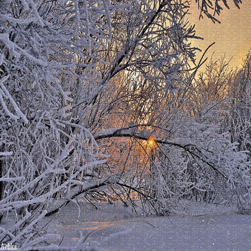 winter  background by nataliplus - Бесплатни анимирани ГИФ