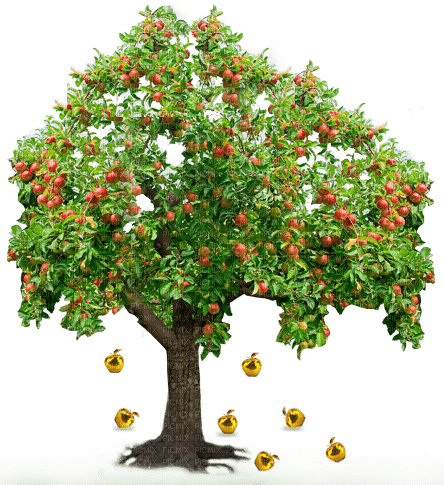 apple tree sunshine3 - png grátis
