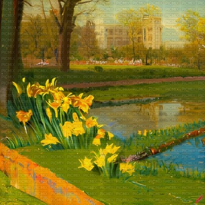 Daffodils in the Park - Free PNG