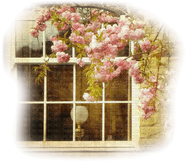 ventana by EstrellaCristal - png gratuito