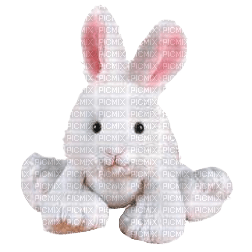 Webkinz Rabbit Plush - Free PNG