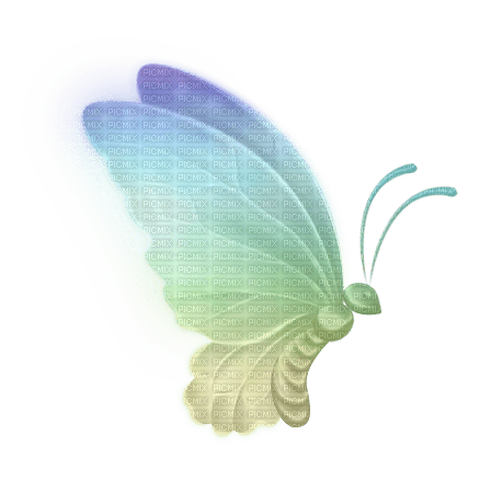 Schmetterling butterfly - kostenlos png