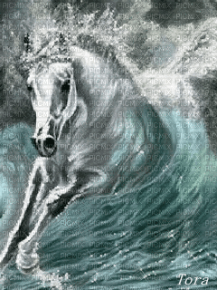 horse. horses bp - Kostenlose animierte GIFs