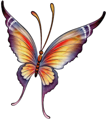 papillon.Cheyenne63 - GIF animado gratis