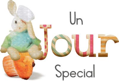 Kaz_Creations Logo Text Un Jour Special=One Day Special - png grátis