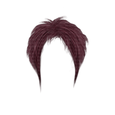 hair, wig bp - zdarma png