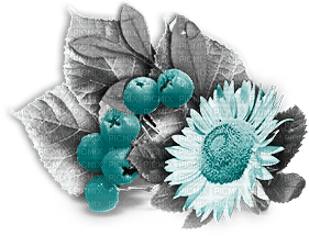 soave deco autumn flowers sunflowers branch - PNG gratuit