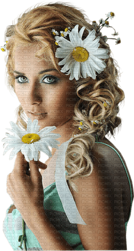 marguerite - 免费PNG
