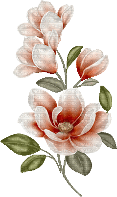 kwiat - GIF animate gratis