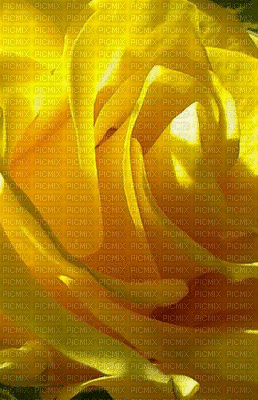 Flower - GIF animate gratis