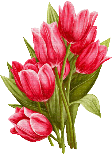 Y.A.M._Spring Flowers Decor - Nemokamas animacinis gif