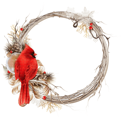 Christmas, winter, bird, cardinal. Leila - безплатен png