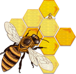 soave bee honey deco scrap - PNG gratuit