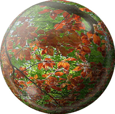 Herbst automne autumn - 無料png