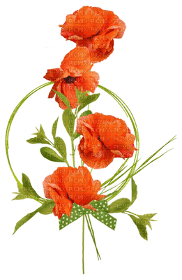 patymirabelle fleurs - darmowe png