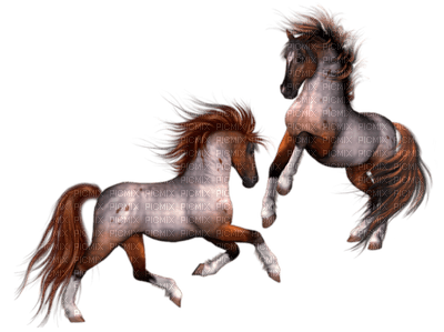 cheval - nemokama png