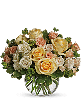 Kaz_Creations  Deco Flowers Vase Colours - бесплатно png
